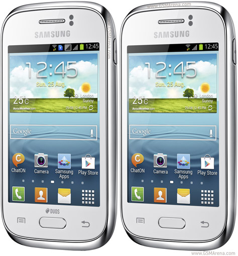 Samsung_Galaxy_Young_S6310_a