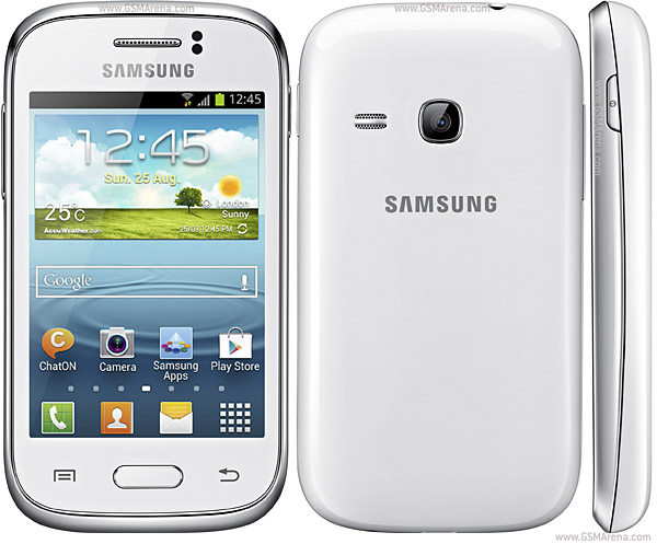 Samsung_Galaxy_Young_S6310_b