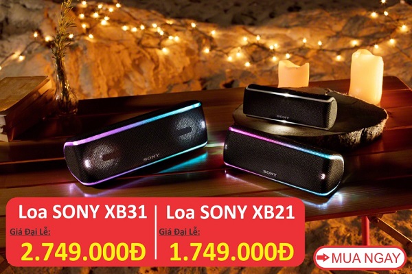 Loa Bluetooth Sony SRS - XB21