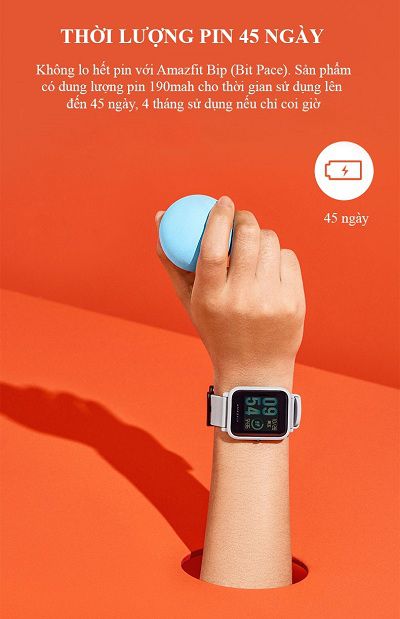 Smartwatch Xiaomi Amazfit Bip