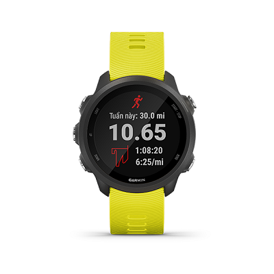 Garmin Forerunner 245