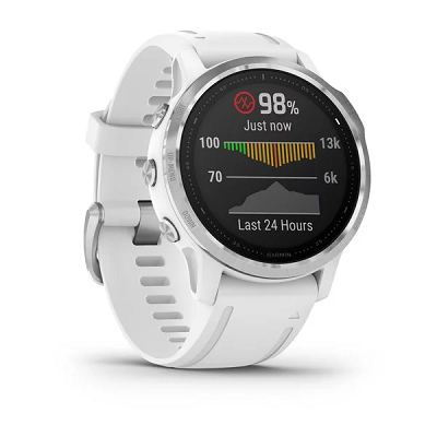 Garmin Fenix 6S