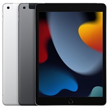 iPad Gen 9 Wi-Fi Cellular 256GB