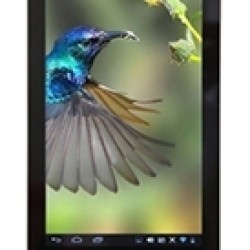 Mua Sản Phẩm Acer Iconia One 7 B1 740 8GB